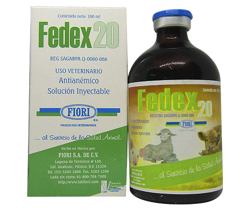 fedex20